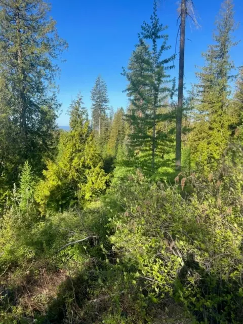 904 Old Dominion Rd, Colville, WA 99114