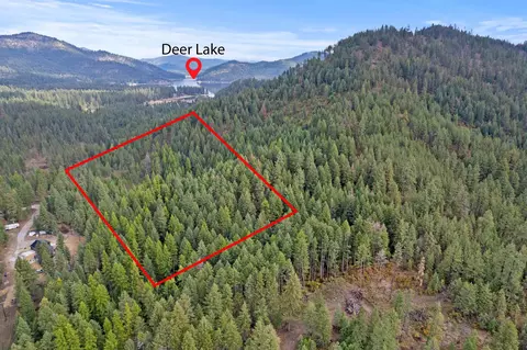 37 Nn N Deer Lake Rd, Loon Lake, WA 99148