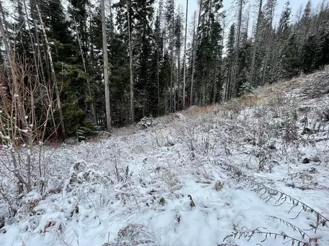 Nn Kaniksu Rd, Chewelah, WA 99109