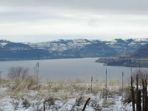 40945 Scenic Dr N, Davenport, WA 99122