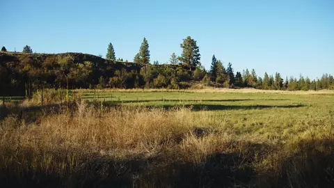 X20 W Deno Rd, Spokane, WA 99224