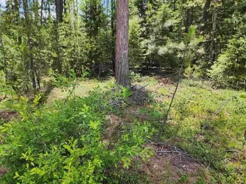 Nkn N Shadows Dr, Cusick, WA 99119 photo 6
