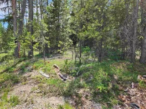 Nkn N Shadows Dr, Cusick, WA 99119 photo 5