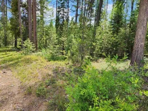 Nkn N Shadows Dr, Cusick, WA 99119 photo 3