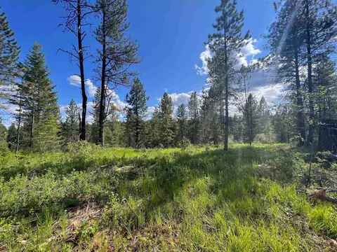 47 1 Bowler Rd # X, Springdale, WA 99173