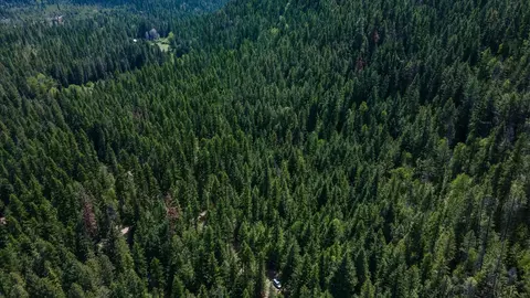 671 Osprey Dr, Cusick, WA 99119 photo 8