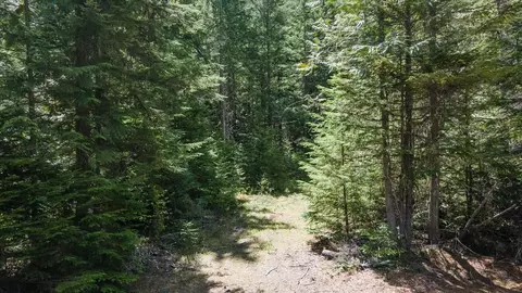 671 Osprey Dr, Cusick, WA 99119 photo 13