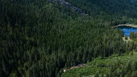 671 Osprey Dr, Cusick, WA 99119 photo 3