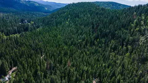 671 Osprey Dr, Cusick, WA 99119 photo 6
