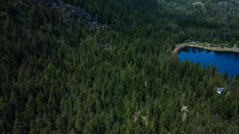671 Osprey Dr, Cusick, WA 99119 photo 5