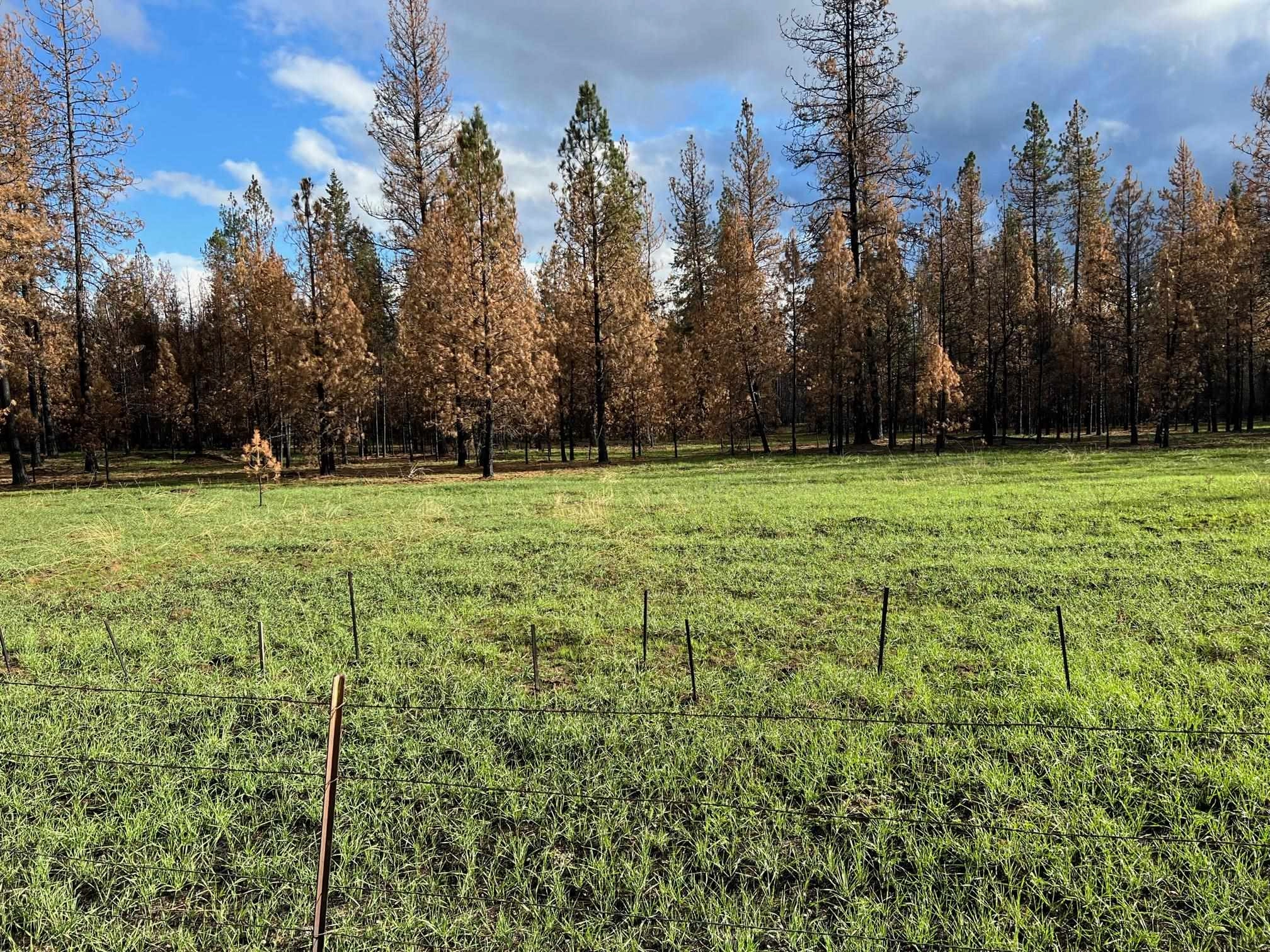 15 E Xxx E Frideger Rd  