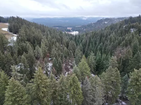 4419 Estebrook Rd, Springdale, WA 99109