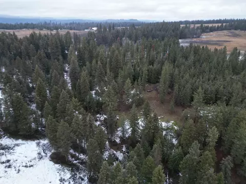 4417 Estebrook Rd, Springdale, WA 99109