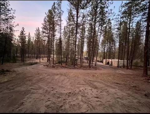 52150 E Woods Ln, Ford, WA 99013