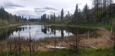 Nka Madd Mountain Rd, Other, WA 98840