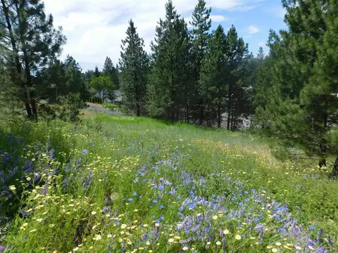 420 NE Stringham Rd #LOT 1, Rockford, WA 99030