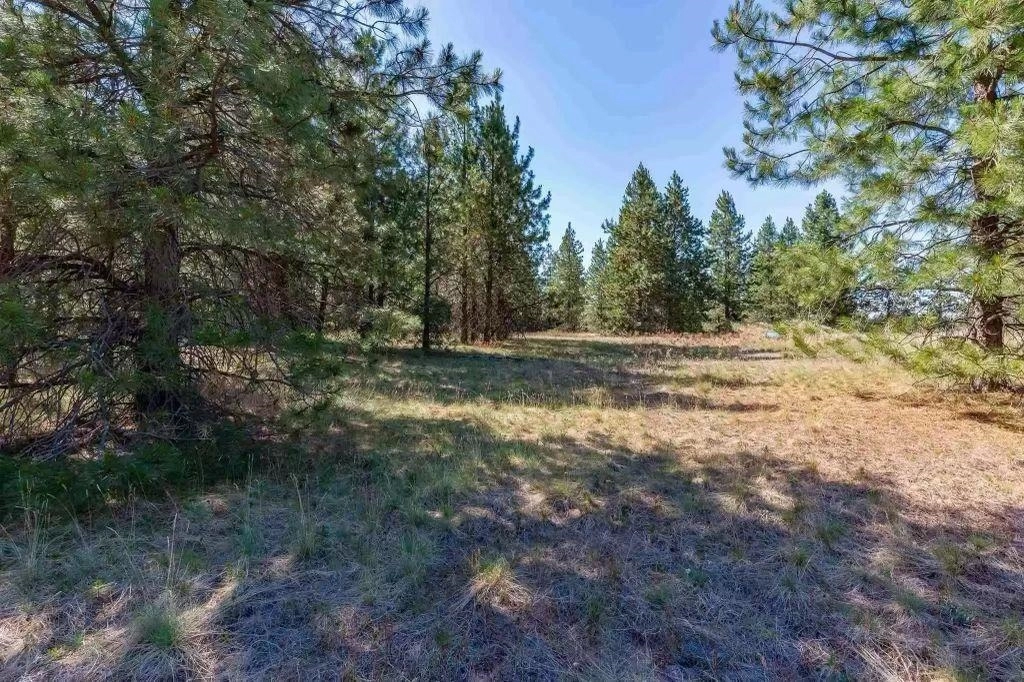 909 W Montgomery Rd Unit C  