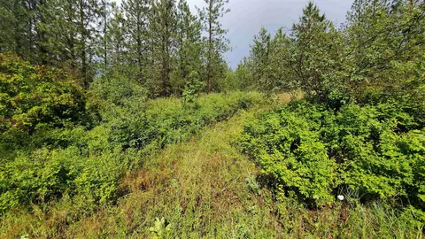 2100 Miller Rd, Spangle, WA 99031