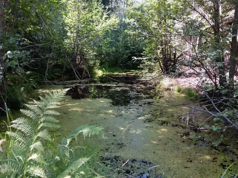 2424 R T Quinn Meadows Rd, Colville, WA 99114