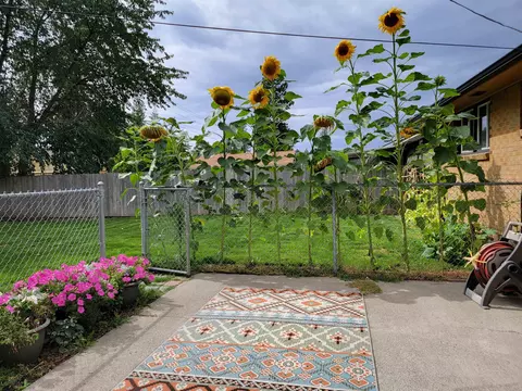 1304 E 37th Ave, Spokane, WA 99203 photo 35
