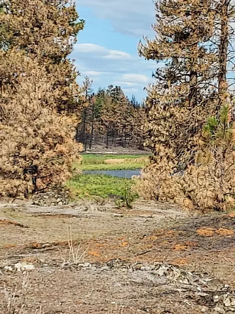 5 Nnn Clear Lake Rd, Medical Lake, WA 99022