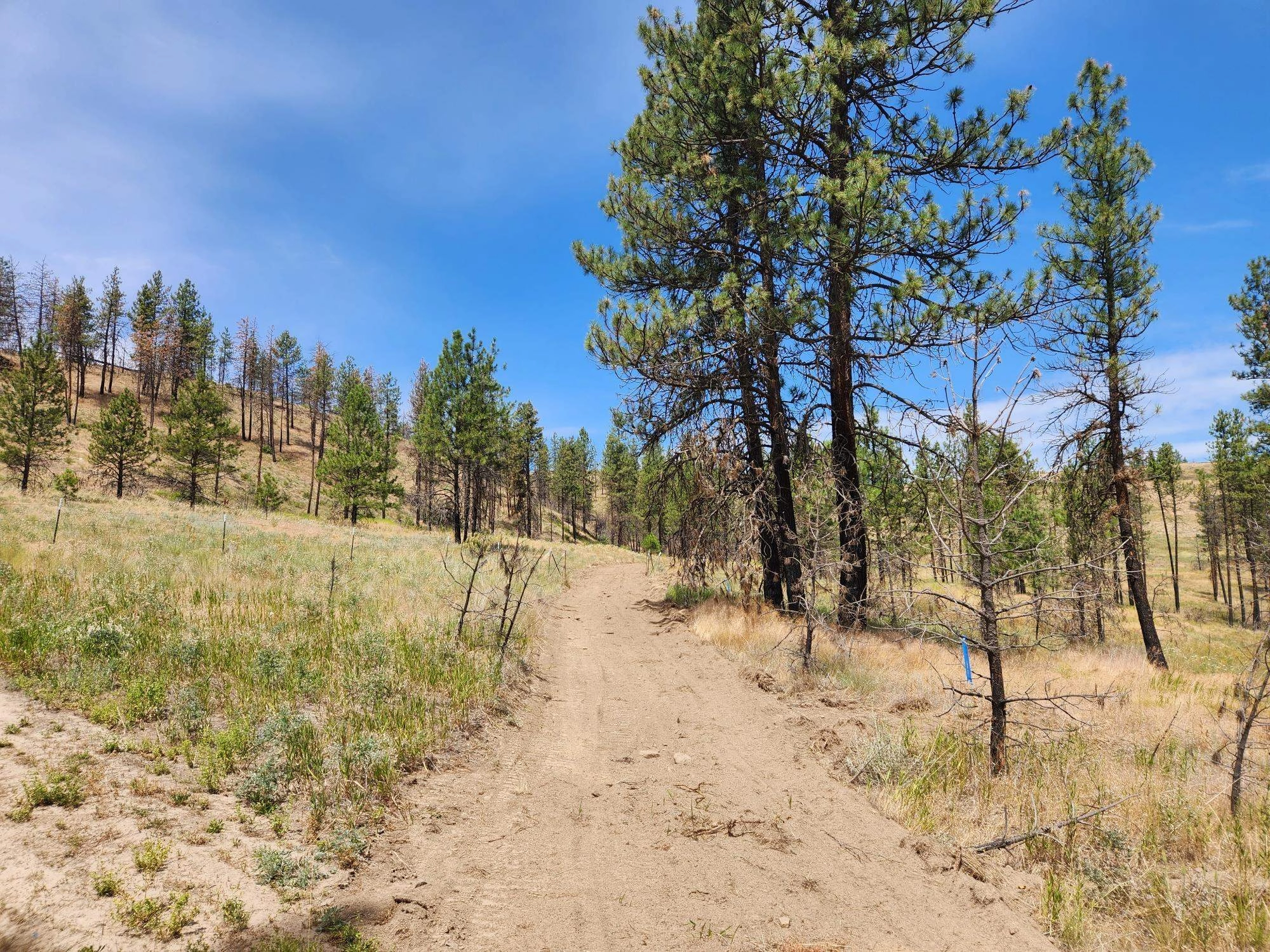 31XYZ HAWK CREEK Rnch RD  