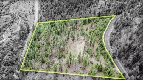 34300 N Ptarmigan Ln, Davenport, WA 99122