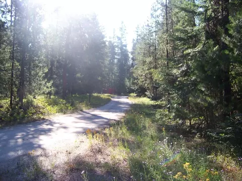 51 N Pine Dr, Cusick, WA 99119 photo 16