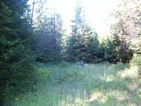 51 N Pine Dr, Cusick, WA 99119 photo 5