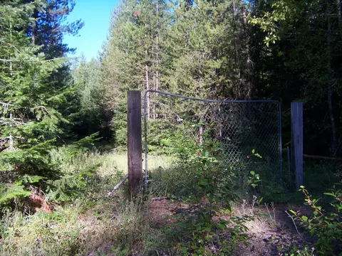 51 N Pine Dr, Cusick, WA 99119 photo 4
