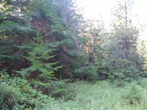 51 N Pine Dr, Cusick, WA 99119 photo 14