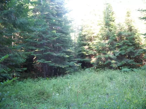 51 N Pine Dr, Cusick, WA 99119 photo 13