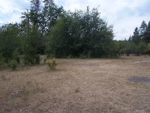 51 N Pine Dr, Cusick, WA 99119 photo 22