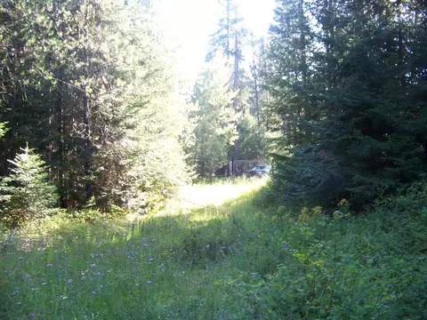 51 N Pine Dr, Cusick, WA 99119 photo 6