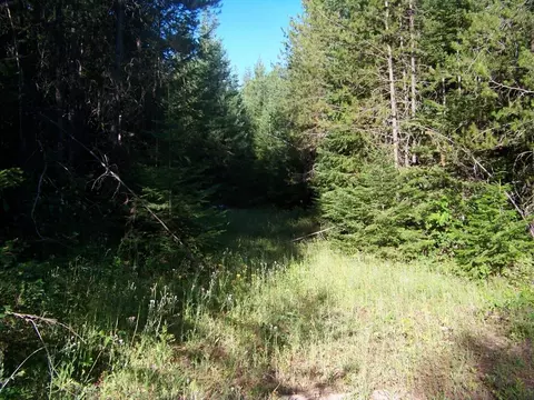 51 N Pine Dr, Cusick, WA 99119 photo 7