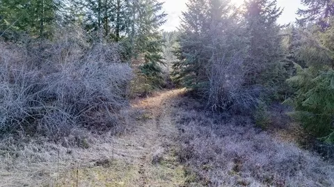 102 Mingo Mountain Rd # X, Kettle Falls, WA 99141