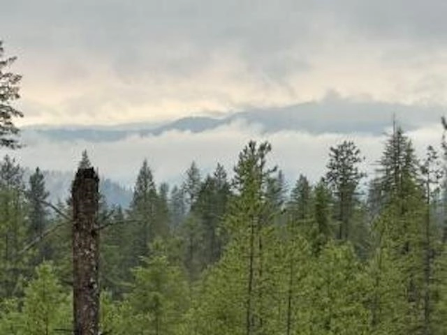 468 Lot A Grouse Creek Rd Unit X  