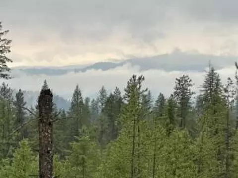 468 Lot C Grouse Creek Rd # X, Chewelah, WA 99109