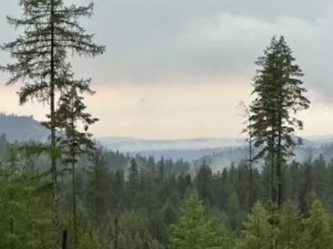 468 Lot E Grouse Creek Rd # X, Chewelah, WA 99109