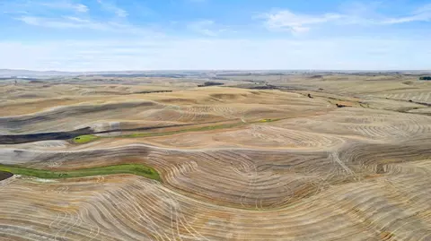 Nnn Land Only, Rosalia, WA 99170