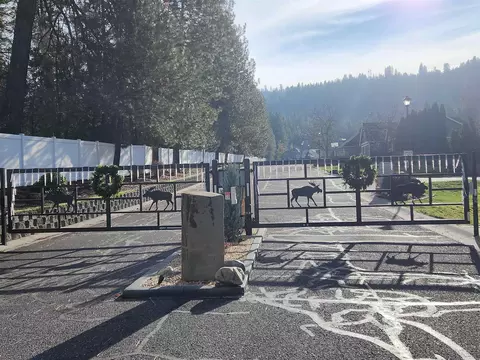 11325 N Ashley Ln, Spokane, WA 99218