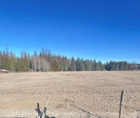Nkn Flowery Trail Rd, Usk, WA 99180
