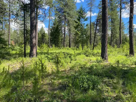 nn W Montgomery Rd #C, Deer Park, WA 99006