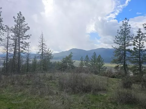 tbd Buena Vista Rd, Colville, WA 99114