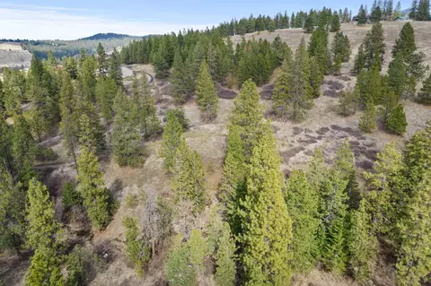 10911 S Lambs Ln, Mica, WA 99023
