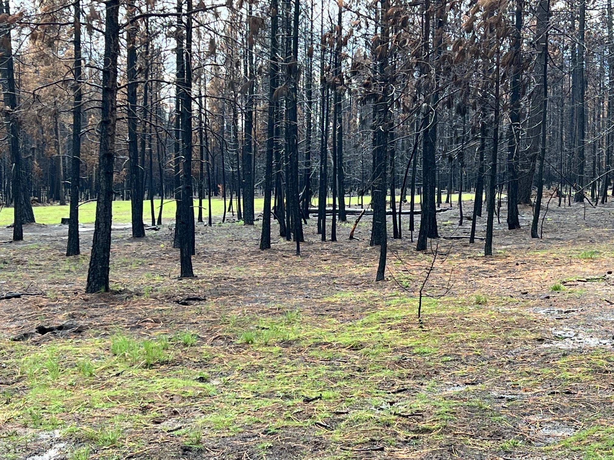 159 E Xx E Oregon Rd  