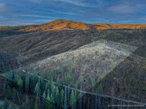 lot11 Rail Canyon Rd, Springdale, WA 99173