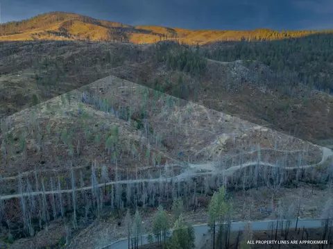 lot12 Rail Canyon Rd, Springdale, WA 99173