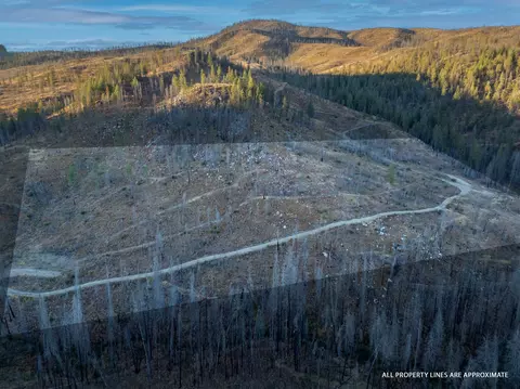 lot1 Rail Canyon Rd, Springdale, WA 99173