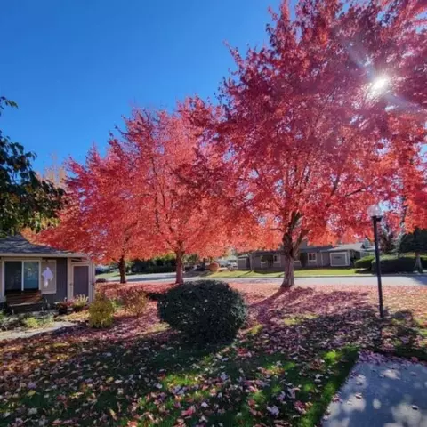 6207 E 6th Ave #C-3, Spokane, WA 99212 photo 19